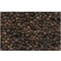 Black Pepper