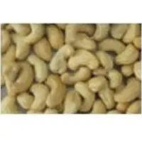 Cashew Nuts WW450