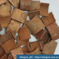 Square Cut Cassia Vietnam