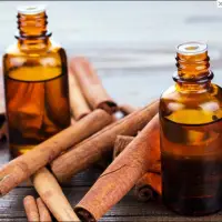 Cinnamon Oil Vietnam