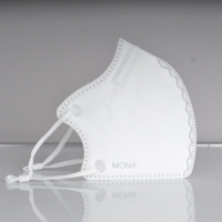 6 Ply Face Mask