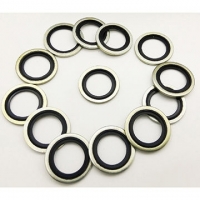 Dowty Seals Or Dowty Bonded Washers