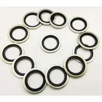 Dowty Seals Or Dowty Bonded Washers