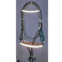 Horse Bridle