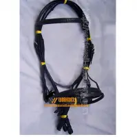 Braided Raised Classic Bridle