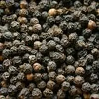 Black Pepper