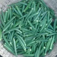 Okra