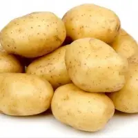 Fresh Potato