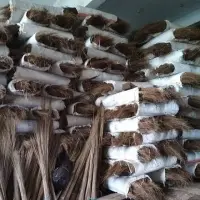 Coconut and Palm Broom Stick