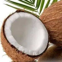 Mature Brown Coconut