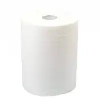 Toilet Tissue H