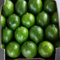 Fresh Persian Lemon