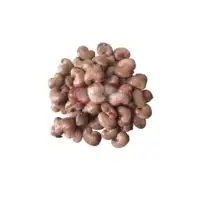 Raw Cashew Nut