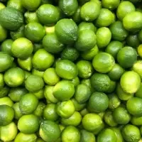 Fresh Lemon