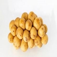 Potato