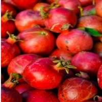 Pomegranate