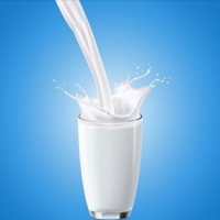 Skimmed Milk Powder