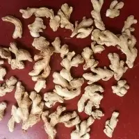 Dry Ginger