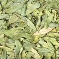 Senna Leaves