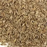 Dill Seeds