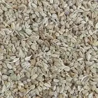 Ajwain (Bishop Seeds)
