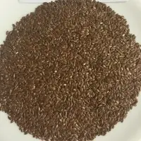 Flax Seeds (Lin Seeds)