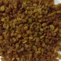 Malayar Raisins