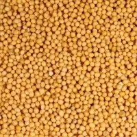 Yellow Mustard Seeds