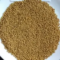 Fenugreek Seeds