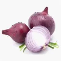 Fresh Red Onion