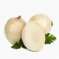 Fresh White Onion