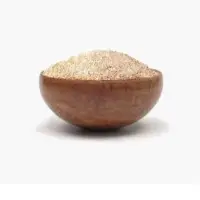 Dehydrated White Onion Minced