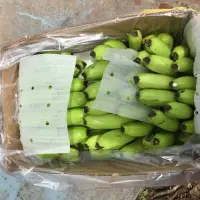 Cavendish Banana