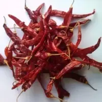 Wrinkle Dried Red Chilli Stem Less