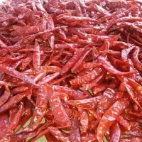 Sannam Dried Red Chilli Stemless