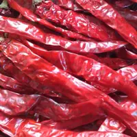 Wrinkle Dried Red Chilli With Stem