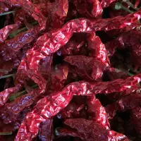 Byadgi Dried Red Chilli