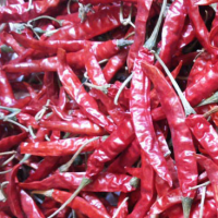 Teja S17 Dried Chilli