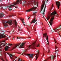 Teja S17 Dried Chilli
