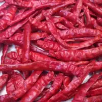 Teja s17 Dried Chilli - Red Chilli Stem Less