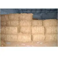 Coconut fiber