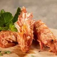 Shrimp - Teddy Bear