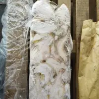 Sole - Dusky WR Frozen Blocks