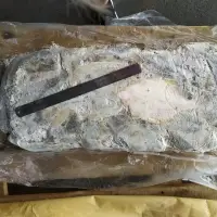 Sole - Yellowfin WR Frozen Blocks