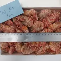 Shrimp - Greenland
