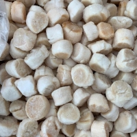 Scallops, Frozen