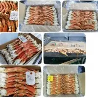 Snow Crab - Opilio