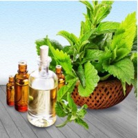 Peppermint Oil Blends