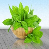 Natural Mint Terpene