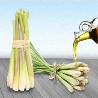 Lemongrass Oil